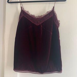 AllSaints Lace and Velvet Camisole